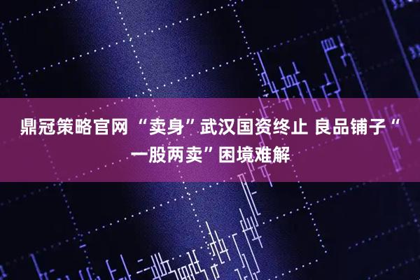 鼎冠策略官网 “卖身”武汉国资终止 良品铺子“一股两卖”困境难解